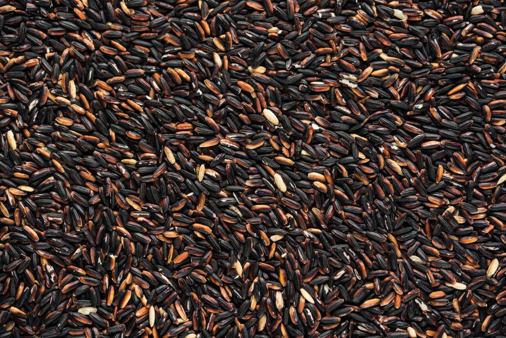 raw black rice grains